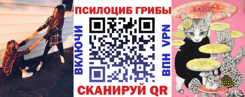 сколько стоит  Бийск  Псилоцибиновые грибы прущие грибы 
