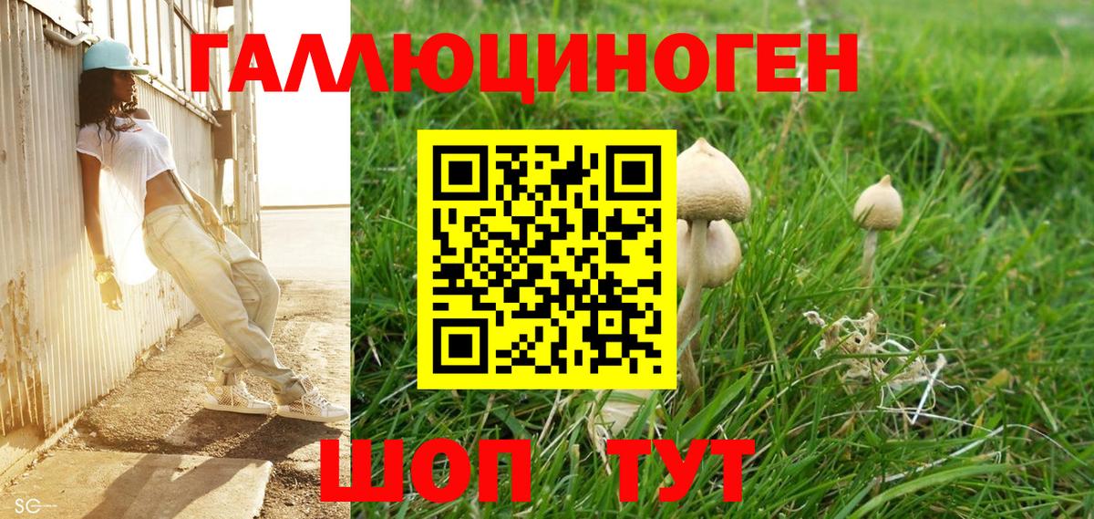 Псилоцибиновые грибы Magic Shrooms  Бийск  Псилоцибиновые грибы прущие грибы 