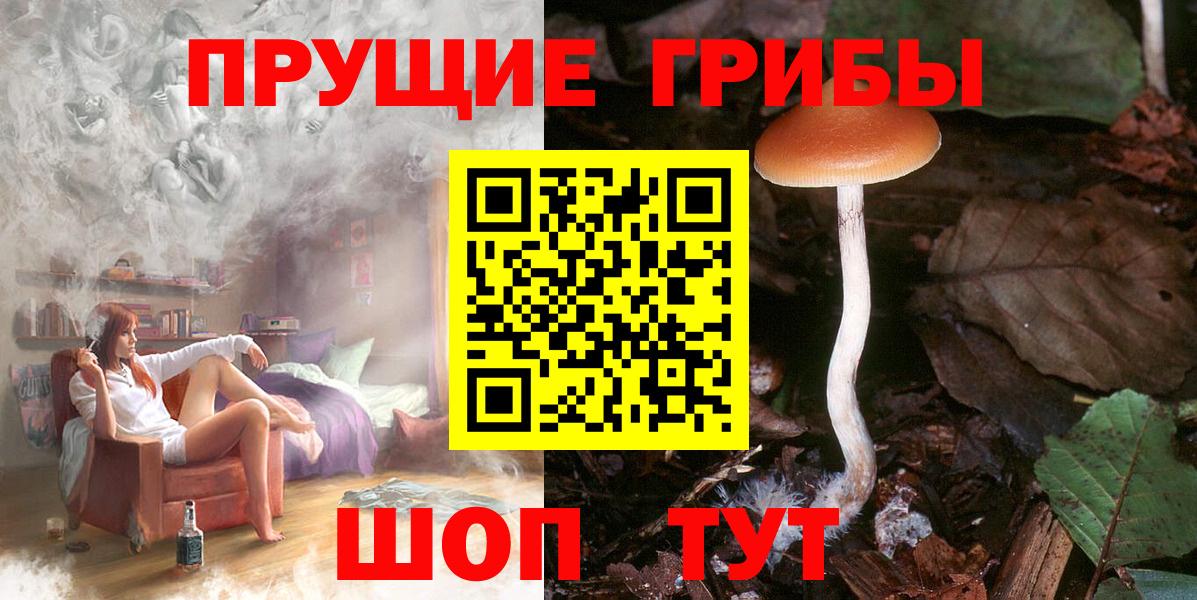 Галлюциногенные грибы MAGIC MUSHROOMS Бийск