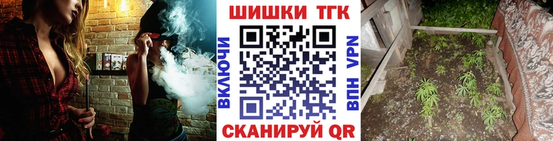 Шишки марихуана THC 21%  где купить   Бийск 